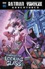 Cover: Through the Looking Glass - Raintree