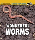 Cover: Wonderful Worms - Raintree