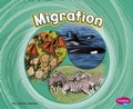 Cover: Migration - Raintree