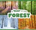 Cover: A Year in the Forest - Raintree