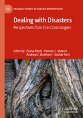 Cover: Dealing with Disasters - Palgrave Macmillan