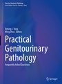 Cover: Practical Genitourinary Pathology - Springer