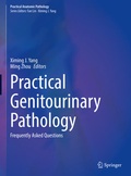 Cover: Practical Genitourinary Pathology - Springer