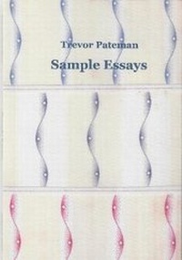 Enlarge image Cover: Sample Essays - degree zero