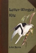 Cover: Letter-Winged Kite - Penteract Press