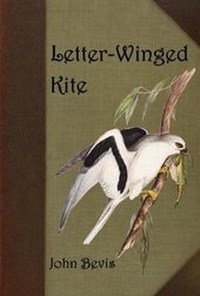Enlarge image Cover: Letter-Winged Kite - Penteract Press