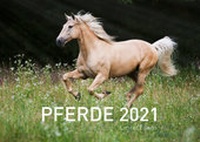 Abbildung von: 360° Pferde Exklusivkalender 2021 - 360° medien