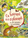 Cover: Ce haioasa e o zi ploioasa &iquest;i alte povestiri cu animalu&iquest;e - Litera Media Group