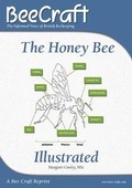 Cover: The Honey Bee Illustrated - Bee Craft Ltd