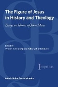 Cover: The Figure of Jesus in History and Theology - Catholic Biblical Association