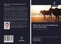 Cover: Effect van chroomsuppletie op vee en pluimvee - Uitgeverij Onze Kennis