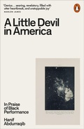 Cover: A Little Devil in America - Penguin Books Ltd
