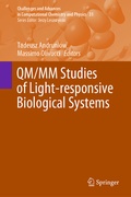 Bild: QM/MM Studies of Light-responsive Biological Systems - Springer