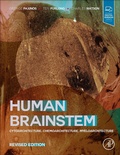 Abbildung von: Human Brainstem - Academic Press