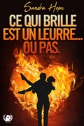 Cover: Ce qui brille est un leurre... ou pas. - Art en Mots &Eacute;ditions