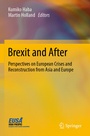 Cover: Brexit and After - Springer