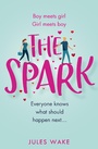 Cover: The Spark - One More Chapter