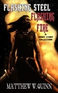 Cover: Flashing Steel, Flashing Fire - Matthew Quinn