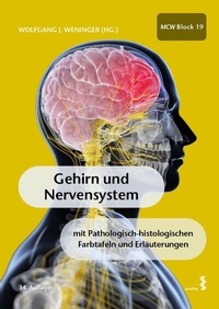 Abbildung von: Gehirn und Nervensystem - Facultas
