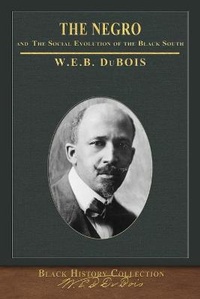 Abbildung von: The Negro and The Social Evolution of the Black South - Miravista Interactive
