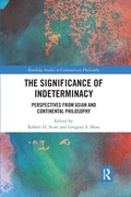 Cover: The Significance of Indeterminacy - Routledge