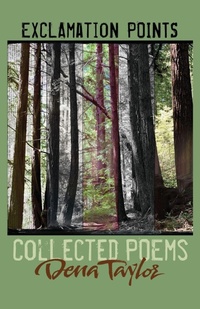 Enlarge image Cover: Exclamation Points - Many Names Press