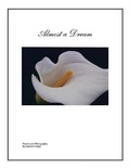 Cover: Almost a Dream - Park Place Publications