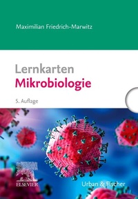 Bild: Lernkarten Mikrobiologie - Urban & Fischer