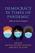 Cover: Democracy in Times of Pandemic - Cambridge University Press