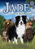 Cover: Jade - Farcountry Press