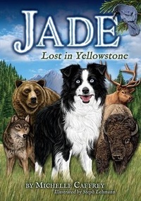 Enlarge image Cover: Jade - Farcountry Press