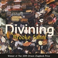 Enlarge image Cover: Divining - Orison Books