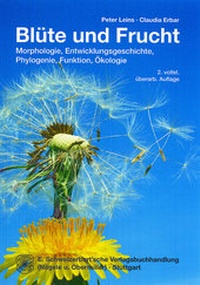 Bild: Blüte und Frucht - E. Schweizerbart'sche Verlagsbuchhandlung