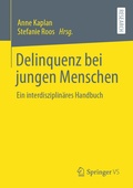 Cover: Delinquenz bei jungen Menschen - Springer VS