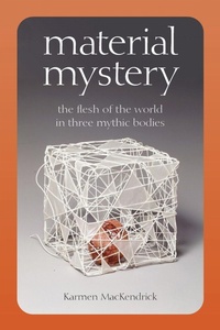 Enlarge image Cover: Material Mystery - Fordham University Press