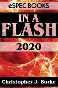 Enlarge image Cover: In a Flash 2020 - Espec Books