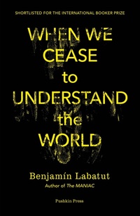 Enlarge image Cover: When We Cease to Understand the World - Pushkin Press