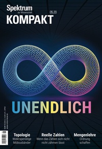 Abbildung von: Spektrum Kompakt - Unendlich - Spektrum der Wissenschaft