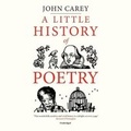 Cover: A Little History of Poetry - Blackstone Publishing