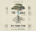 Cover: The Hole - Dreamscape Media