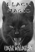Cover: Black Magic - The Witch Chronicles - Rise Of The Dark Witch High King - Book Two - Hometown Publishers