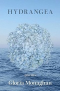 Cover: Hydrangea - Kelsay Books
