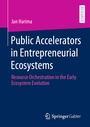 Cover: Public Accelerators in Entrepreneurial Ecosystems - Springer Gabler