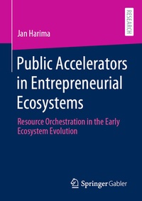 Abbildung von: Public Accelerators in Entrepreneurial Ecosystems - Springer Gabler
