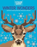Cover: Color Quest: Winter Wonders - Barron's Educational Series Inc.,U.S.