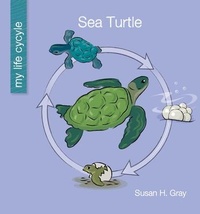 Enlarge image Cover: Sea Turtle - Cherry Lake Publishing