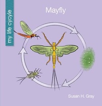 Enlarge image Cover: Mayfly - Cherry Lake Publishing