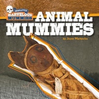 Abbildung von: Animal Mummies - Cherry Lake Publishing