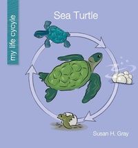 Enlarge image Cover: Sea Turtle - Cherry Lake Publishing