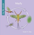 Cover: Mayfly - Cherry Lake Publishing